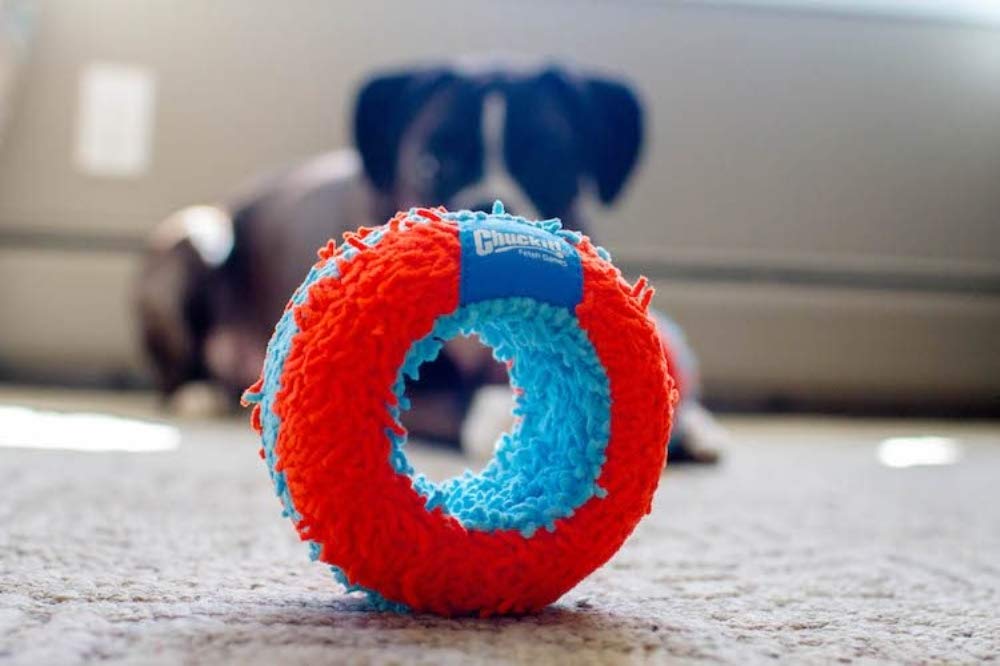 chuckit indoor tumbler