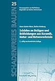 Schäden an Belägen und Bekleidungen aus Keramik, Natur- und Betonwerkstein.: Reihe begründet von Günter Zimmermann. (Schadenfreies Bauen) by