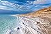 Ever Since - Blossom Dead Sea Mineral Salt Scrub - 250ml - Nourishing and Exfoliating