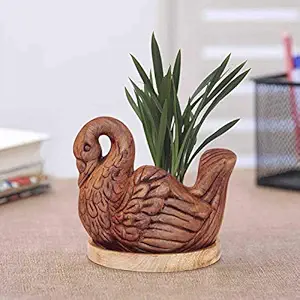 Lasaki Swan Ceramic Pots with Wooden Plate / Tray for Indoor and Outdoor Home d