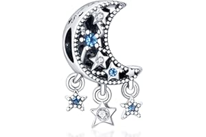 Panderu Charm Anhänger Damen 925 Sterling Silber für Armband Charms Beads passend für Pandora Armband und Halskette, Kompatibel mit Europäischen Armbänder für Frauen Mädchen C2