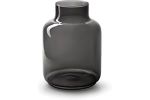 ‎WL PLANTS WL Plants Vase Gigi - Vase Schwarz - Bodenvase Groß - Vase für Pampasgras - H25x Ø14cm - Glas Blumenvase Modern - Vasen Deko Handarbeit robuste Verpackung