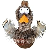 Katzenspielzeug Ente mit Sound