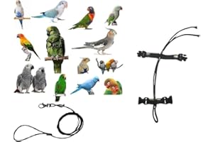 BLUSUPERSHOP PETTORINA PAPPAGALLI regolabile MISURA da cocorite ad amazzone 3mm elastica E nastro 10mm, fibbie plastica GUINZAGLIO 3mm nero 1M (nera)