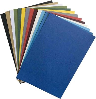 Rainex 565 NO 100 Couvertures A4 250 g Noir