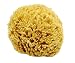 Unbleached Honeycomb Natural Sea Sponge Strong Type RS.2002.00