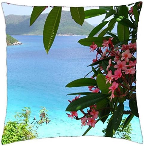 iRocket - Frangipani Plumeria Tree overlooking Blue Bay and Beach - Throw Pillow Cover (18" x 18", 45cm x 45cm)