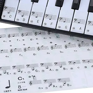 Transparent 49 61 Key Electronic Keyboard 88 Key Piano Stave Note Sticker for White Keys