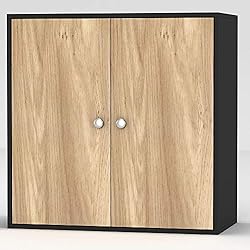 URBNLIVING Armoire de Rangement en Bois à 2 étages