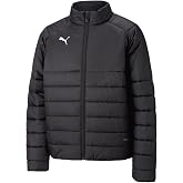 PUMA Teamliga fermuarlı dolgulu ceket Dolgulu ceket Erkekler