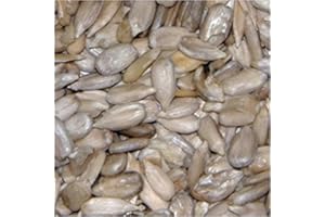 JUST GREEN 10KG SACK OF SUNFLOWER HEARTS - BIRD FOOD