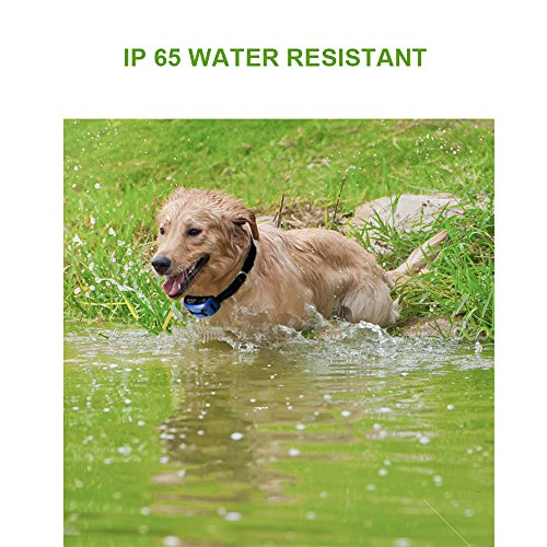 WOLFWILL-Anti-barking-collar-for-dogs-Harmless-No-Shock-Collar-with-3-ModeRechargeable-Digital-Display-7-Level-Sensitivity-Beep-Vibration