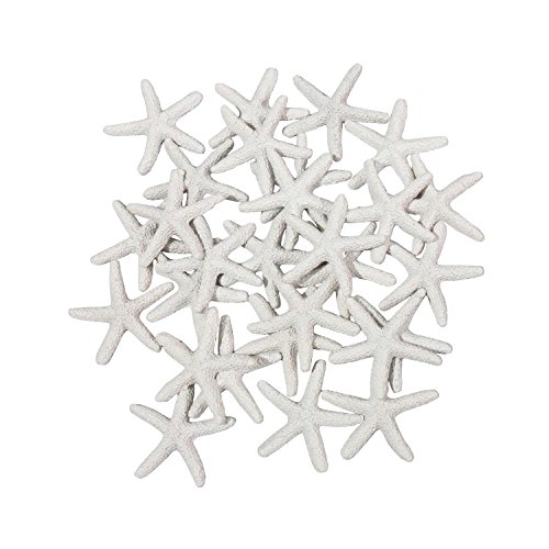 LJY - 25 estrellas de mar de 6 cm, de color blanco, de resina, para decoración de bodas, hogar y proyectos de manualidades