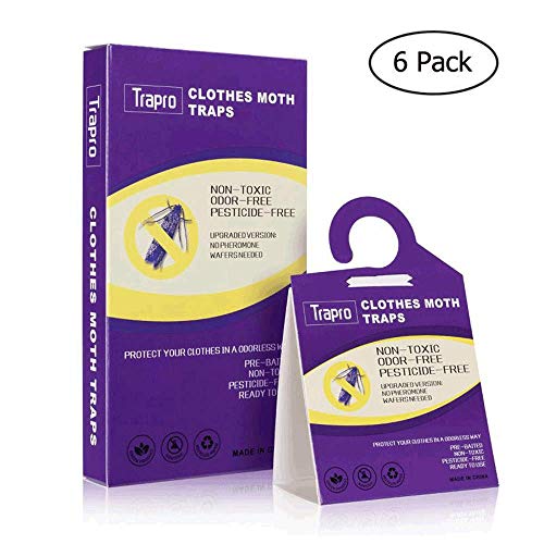 Trapro Clothes Moth Traps Pheromone Moth Traps Sticky Moth Killer for Clothes and Carpet Moth (6 Pack)