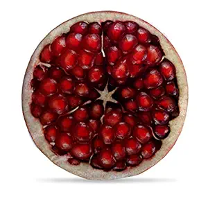 DreamVio Round Cushion/Foam Cushion Velvet Fabric Suitable for Wheelchair, Car Seat, Home, Outing Purpose (Multicolour, 14 x 14 inch) Design 51