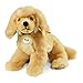 Produktbild Steiff 76961 - Lenni Golden Retriever 28, blond