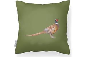 Izabela Peters Outdoor Cushions Waterproof, 43 cm, Filled Outdoor Cushion, Pheasant - Sage, Garden Furniture Cushions, Outdoor Seat Cushions, Garden Chair Cushions