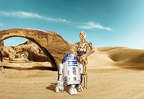 Star Wars R2D2 & C3PO Wallpaper – 368 x 254 cm - 2