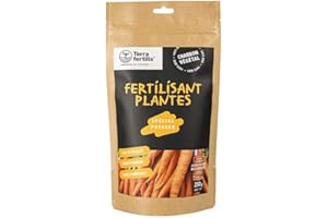 Terra Fertilis - Fertilisant Plantes spécial Potager - à base de Biochar Mycorhizé - Stimule la production et améliore la résistance des légumes - Réduit les besoins en arrosage et en engrais - 250 g