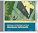 Produktbild Abenteuer Informatik: Abbildungen und Bastelbögen des Buches
