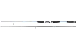 Shakespeare Firebird Spinning Rod - Lightweight Carbon Construction, Modern EVA Handles, Cushioned DPS Reel Seat, Titanium Oxide Insert Guides, Ideal for Fresh & Saltwater Spinning Fishing