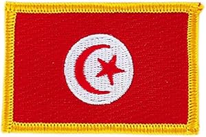 AKACHAFACTORY Patch écusson brodé drapeau tunisie tunisien flag thermocollant insigne blason