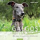Image de Galgos bellen nicht: Das Leben mit den spanischen Windhunden