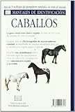 Image de CABALLOS. MANUAL DE IDENTIFICACION (GUIAS DEL NATURALISTA-ANIMALES DOMESTICOS-CABALLOS)