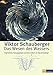 Das Wesen des Wassers: Originaltexte, herausgegeben und kommentiert von Jörg Schauberger by Viktor Schauberger, Jörg Schauberger