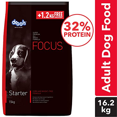 drools focus starter