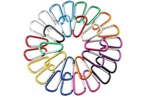 QitinDasen 30Pcs Premium 5cm Alluminio Moschettone Set, Mini Moschettone Portachiavi, Moschettoni Campeggio, Blocco a Clip Gancio, Chiusura Molla (Not for Climbing!)