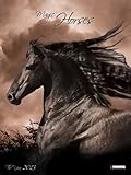 Magic Horses 2013. Decor Calendar: Magische Pferde by 