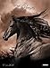 Magic Horses 2013. Decor Calendar: Magische Pferde by 