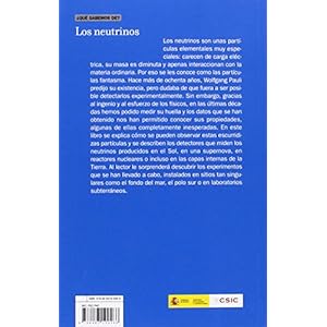 Los Neutrinos (Que Sabemos de)