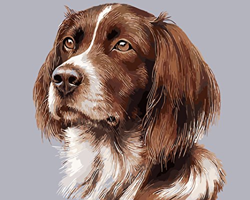 nadamuSun Version 3.0 HD DIY Painting by Numbers Kits Theme Digital Painting