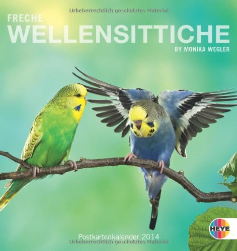 Download Freche Wellensittiche 2014. Postkartenkalender
