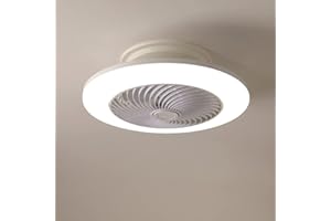 MILLE LUCCIOLE Ventilatore da Soffitto con Luce,Ventilatori Soffitto con Telecomando Moderna,55W LED Ventilatore Vortice Lampada Dimmerabile regola la velocità del vento,Invisibile e Silenzioso per Sala da pranzo