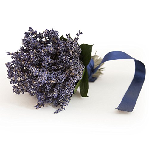 ROSEMARIE SCHULZ® Natürlicher Blumenstrauß Lavendelstrauß – Ø ca. 15cm - 3