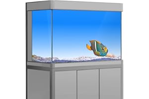 SB LITTLE Pegatina de fondo de acuario, color azul y blanco degradado simple impresión HD fondo de fondo de pecera, decoración de paisaje de PVC (11,8 x 15,7 (30 x 40 cm)