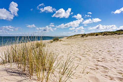 Magnettafel Pinnwand mit Motiv Natur Sylt Strand Sand Düne Größe 80 x 60 cm - 2