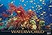 Waterworld 2012. PhotoArt Panorama by