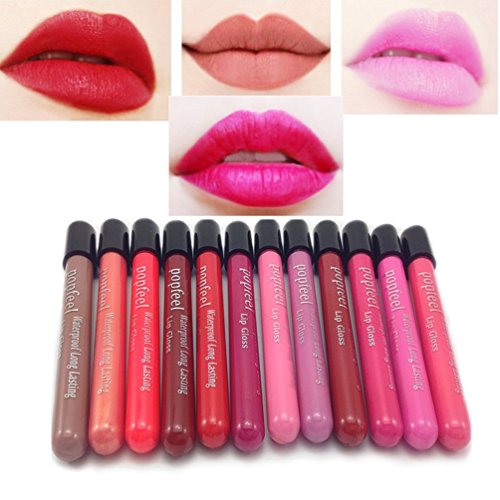 DiChi Lippenstift Gloss Set 12x Matt Lippenstift, Wasserdichtes,Mit Aufbewahrungstasche, #01- #12
