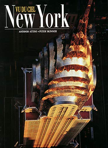 Télécharger New York vu du ciel PDF