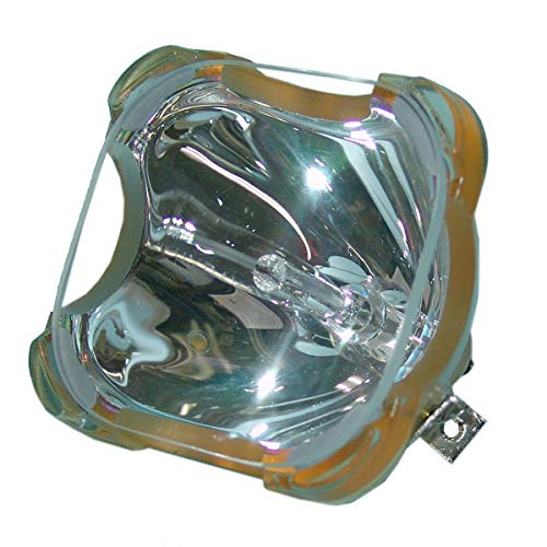 Preisvergleich Produktbild Lutema Economy für Barco R9841100 Projektoren Lampe (Nur Birne)