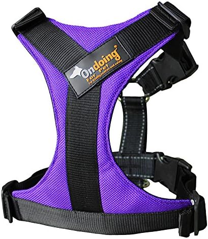 BuyHere Dog Safety Vest Harness Adjustable Car Safety Lesh Harness Soft Padded Protective Walking Vest Harness (XL, Purple A)