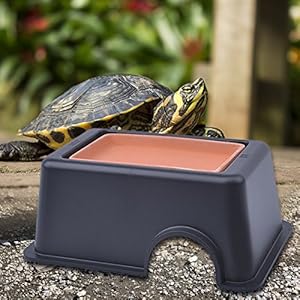 Gordebuy Versteck Höhle / Hide Box large