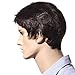 Songmics New Fashion Brown Short Wig for Men Full Hair 28cm WMS123