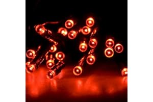 eBuzz Battery Operated Fairy Lights with 20 Red LEDs (Red)