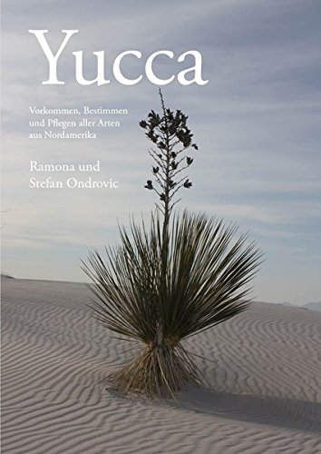 Download Yucca: Vorkommen, Bestimmen und Pflegen aller Arten aus Nordamerika