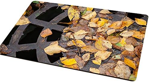 LanChuon 3D Pattern Doormat Indoor, 60x40 cm Non-slip Beware of The Trap Doormat Decorative Funny Doormat